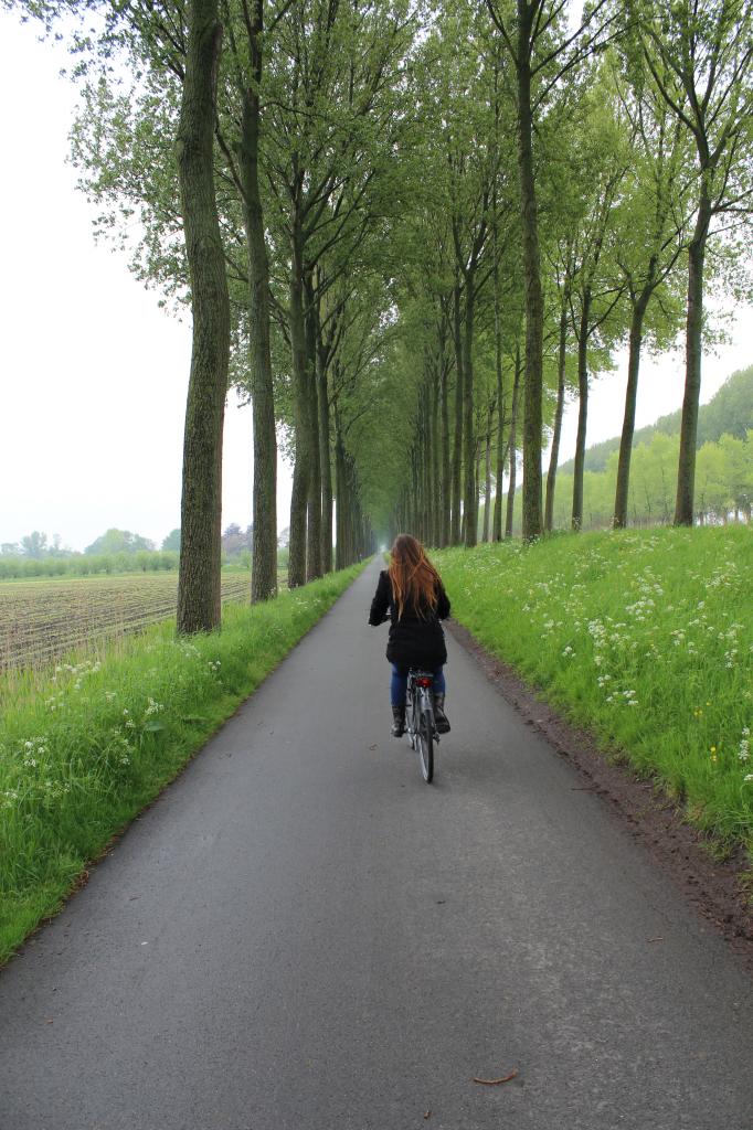 Travel Tuesday: Belgian&nbsp;Countryside