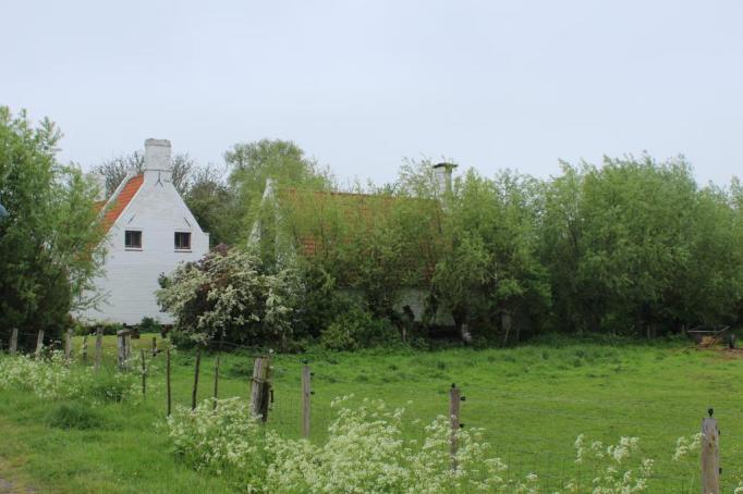 IMG_0560_zps26dc08e0