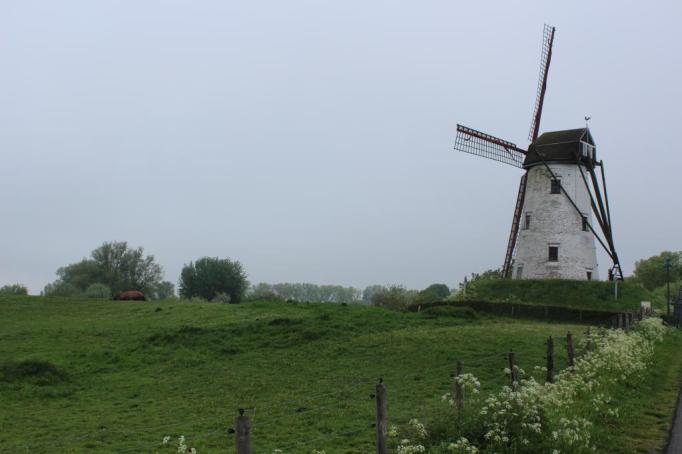 IMG_0561_zps1d856bf2