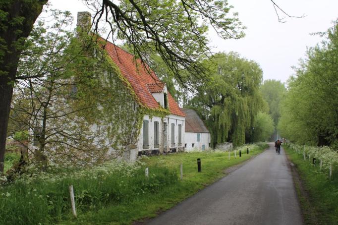 IMG_0566_zps06b41cca