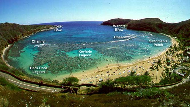 Source: aloha-hawaii.com
