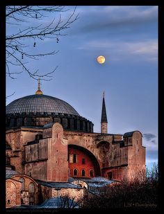 53ea498d4c1b77abfb8836c6455acfc1