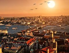 d54eeb7f7a6bb3a07d44381d2d2081cb